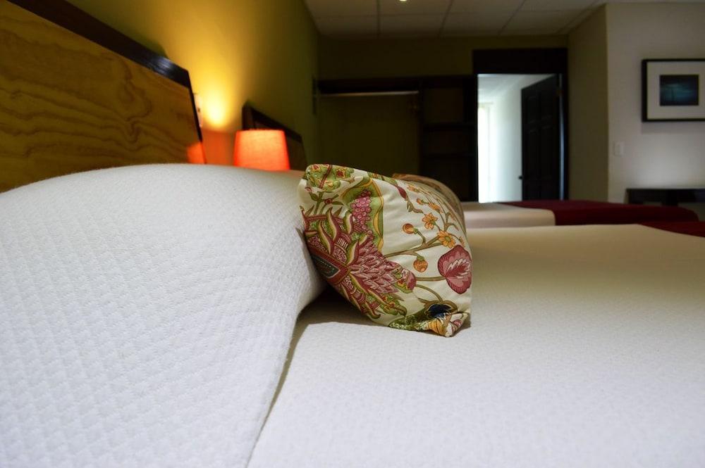 Santa Maria Del Cabo Hotel San José del Cabo Eksteriør billede